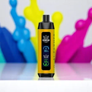 Al Fakher 8000 Crystal Dual – Orange Mint