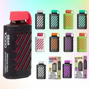 VOZOL Gear 10000 Puffs