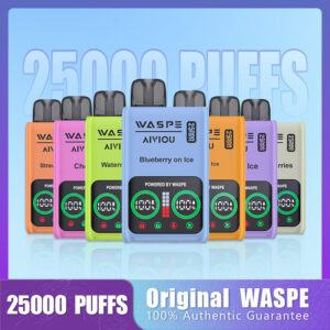 WASPE 25000 PUFFS Dual Mesh Box